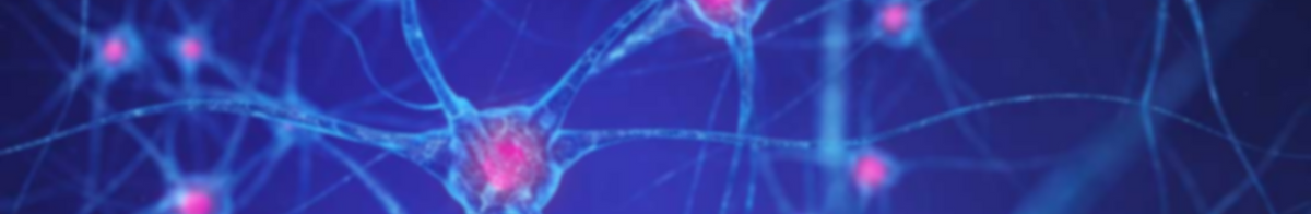 light blue web of neurons against a darker blue background. the neurons appear web-like and have a pink center.